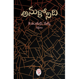 Anukonidi | అనుకోనిది